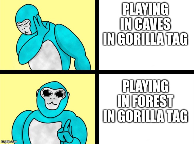 Gorilla tag meme | PLAYING IN CAVES IN GORILLA TAG; PLAYING IN FOREST IN GORILLA TAG | image tagged in memes,gaming,gorilla | made w/ Imgflip meme maker