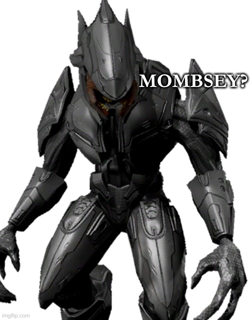 Lets have a heated debate. Sangli Style. shall we? | MOMBSEY? | image tagged in halo 3,elite | made w/ Imgflip meme maker