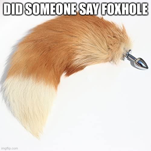 DID SOMEONE SAY FOXHOLE | made w/ Imgflip meme maker