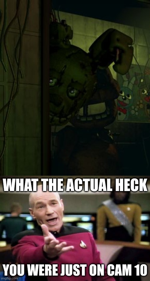 alk hbf | WHAT THE ACTUAL HECK; YOU WERE JUST ON CAM 10 | image tagged in springtrap in door,memes,picard wtf | made w/ Imgflip meme maker