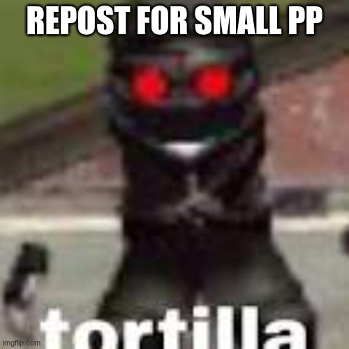 tortilla | REPOST FOR SMALL PP | image tagged in tortilla | made w/ Imgflip meme maker