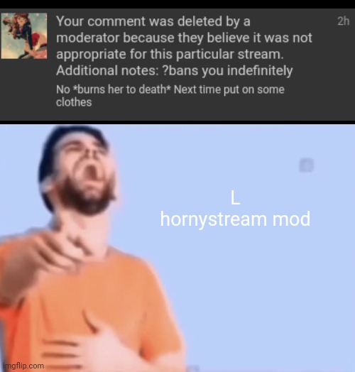Snowflakes :skull: | L hornystream mod | image tagged in laughing and pointing | made w/ Imgflip meme maker