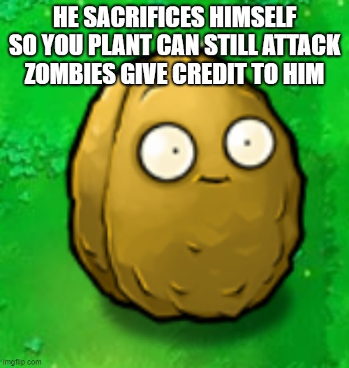 Wall-Nut | HE SACRIFICES HIMSELF SO YOU PLANT CAN STILL ATTACK ZOMBIES GIVE CREDIT TO HIM | image tagged in wall-nut | made w/ Imgflip meme maker