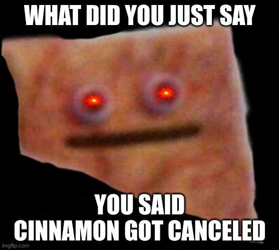 when this cerial gets canceled | WHAT DID YOU JUST SAY; YOU SAID CINNAMON GOT CANCELED | image tagged in cinnamon toast crunch aesthetic meme | made w/ Imgflip meme maker