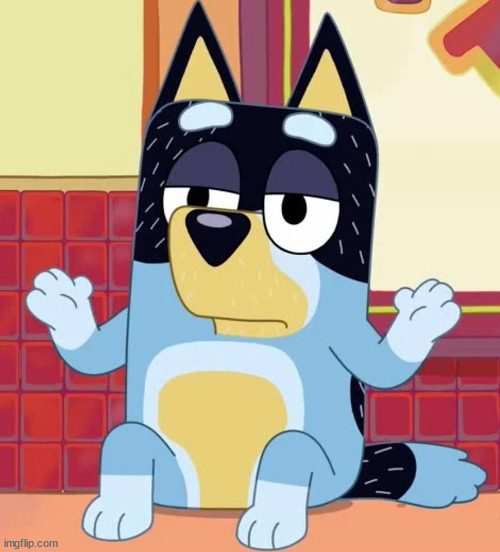 Bluey bandit too tired to care | image tagged in bluey bandit too tired to care | made w/ Imgflip meme maker