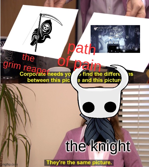 pov:You're the knight | path of pain; the grim reaper; the knight | image tagged in hollow knight,funny,video games | made w/ Imgflip meme maker