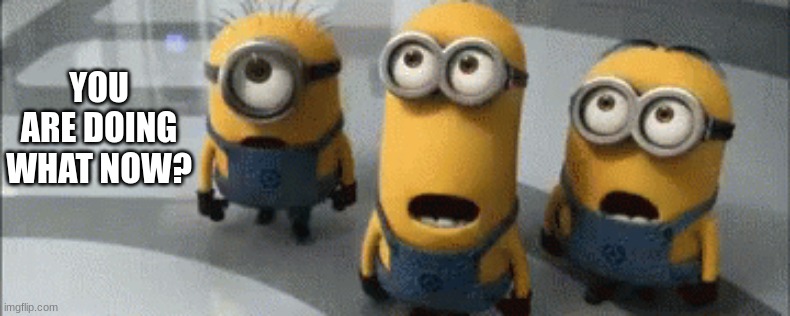 Minion Surprised | YOU ARE DOING WHAT NOW? | image tagged in minions | made w/ Imgflip meme maker