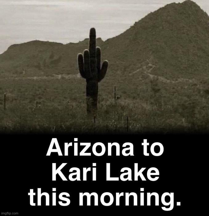 bruh | image tagged in arizona to kari lake | made w/ Imgflip meme maker