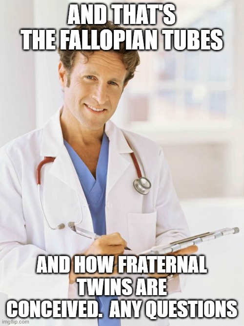 Doctor | AND THAT'S THE FALLOPIAN TUBES AND HOW FRATERNAL TWINS ARE CONCEIVED.  ANY QUESTIONS | image tagged in doctor | made w/ Imgflip meme maker