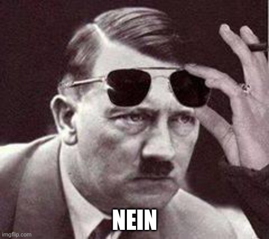 hitler sunglasses | NEIN | image tagged in hitler sunglasses | made w/ Imgflip meme maker