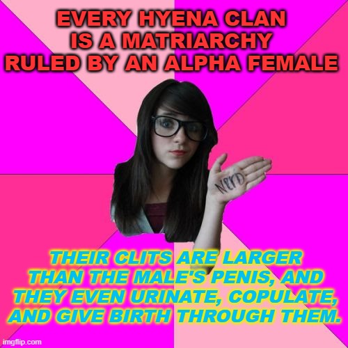 Every hyena clan is a matriarchy ruled by an alpha female | EVERY HYENA CLAN IS A MATRIARCHY
RULED BY AN ALPHA FEMALE; THEIR CLITS ARE LARGER THAN THE MALE'S PENIS, AND THEY EVEN URINATE, COPULATE, AND GIVE BIRTH THROUGH THEM. | image tagged in memes,idiot nerd girl | made w/ Imgflip meme maker