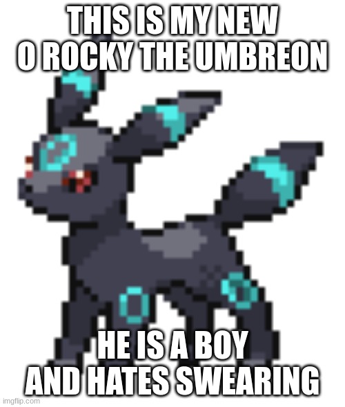 new oc | THIS IS MY NEW O ROCKY THE UMBREON; HE IS A BOY AND HATES SWEARING | image tagged in rocky the umbreon | made w/ Imgflip meme maker