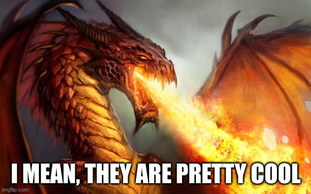 dragon = cool, change my mind | I MEAN, THEY ARE PRETTY COOL | image tagged in fire breathing dragon | made w/ Imgflip meme maker