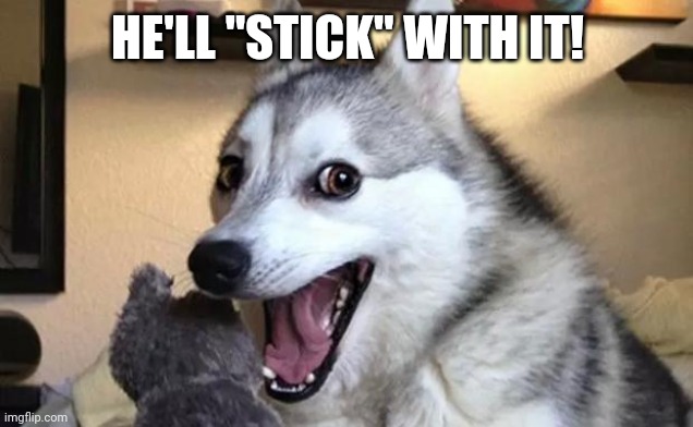 Pun dog - husky | HE'LL "STICK" WITH IT! | image tagged in pun dog - husky | made w/ Imgflip meme maker