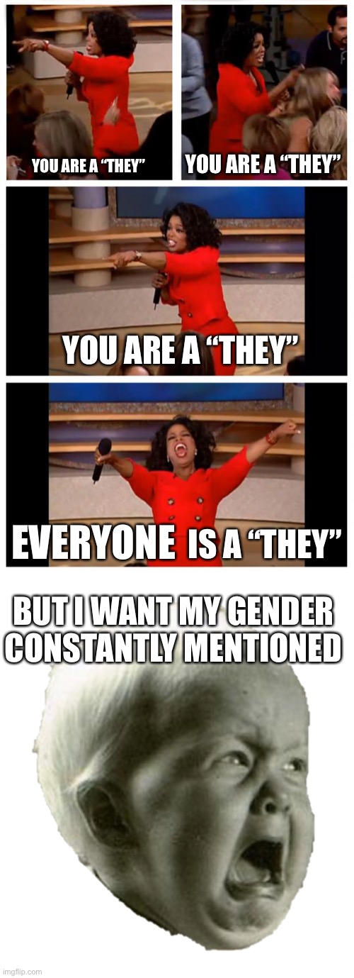 There are snowflakes on both sides | YOU ARE A “THEY”; YOU ARE A “THEY”; YOU ARE A “THEY”; EVERYONE; IS A “THEY”; BUT I WANT MY GENDER CONSTANTLY MENTIONED | image tagged in memes,oprah you get a car everybody gets a car | made w/ Imgflip meme maker