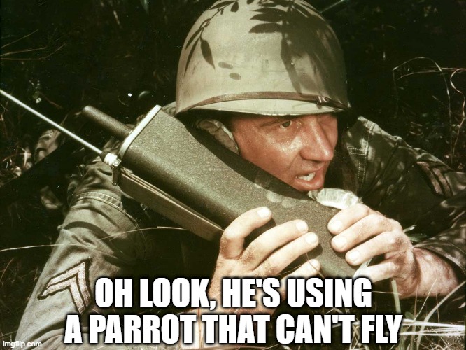 It's Punny! | OH LOOK, HE'S USING A PARROT THAT CAN'T FLY | image tagged in walkie talkie | made w/ Imgflip meme maker