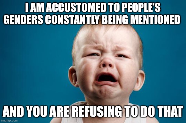 Everyone is a “they” to me. Deal with it. | I AM ACCUSTOMED TO PEOPLE’S GENDERS CONSTANTLY BEING MENTIONED; AND YOU ARE REFUSING TO DO THAT | image tagged in baby crying | made w/ Imgflip meme maker
