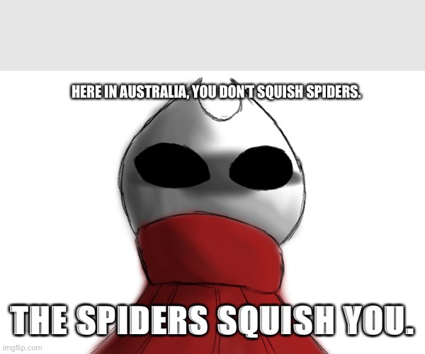 You better run now, mate. | HERE IN AUSTRALIA, YOU DON’T SQUISH SPIDERS. THE SPIDERS SQUISH YOU. | image tagged in hollow knight,australia | made w/ Imgflip meme maker