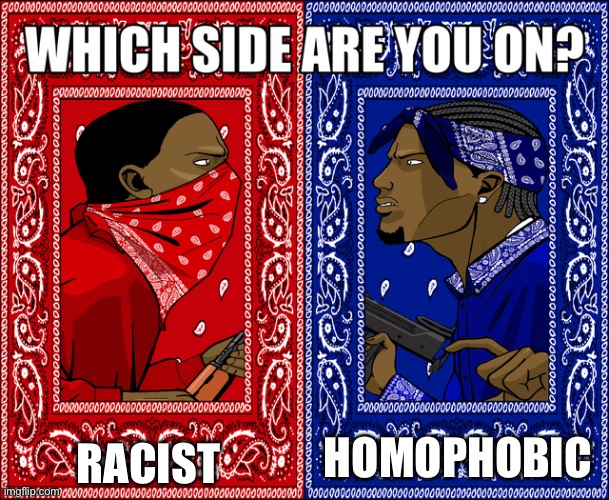 WHICH SIDE ARE YOU ON? | RACIST; HOMOPHOBIC | image tagged in which side are you on | made w/ Imgflip meme maker