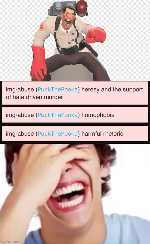 Furries are truly the gift that keeps on giving | image tagged in medic tf2 laughing | made w/ Imgflip meme maker
