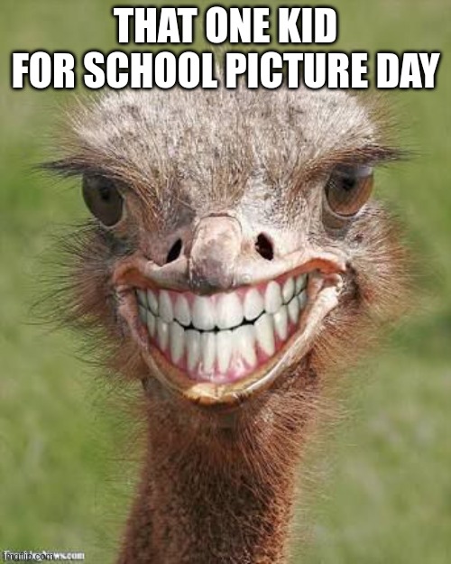 Teeth ostrich emu funny smile  | THAT ONE KID FOR SCHOOL PICTURE DAY | image tagged in teeth ostrich emu funny smile | made w/ Imgflip meme maker