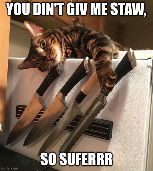 Cat with Knives | YOU DIN'T GIV ME STAW, SO SUFERRR | image tagged in cat with knives | made w/ Imgflip meme maker