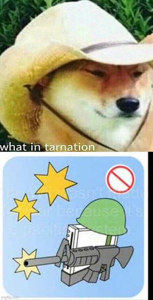 Cheems | image tagged in what in tarnation dog,the war wii | made w/ Imgflip meme maker