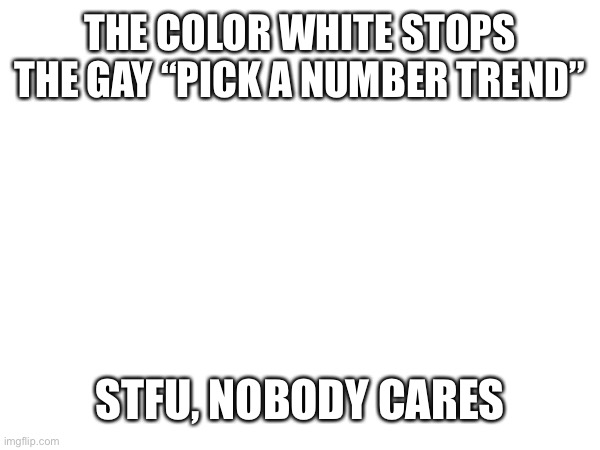 THE COLOR WHITE STOPS THE GAY “PICK A NUMBER TREND”; STFU, NOBODY CARES | made w/ Imgflip meme maker