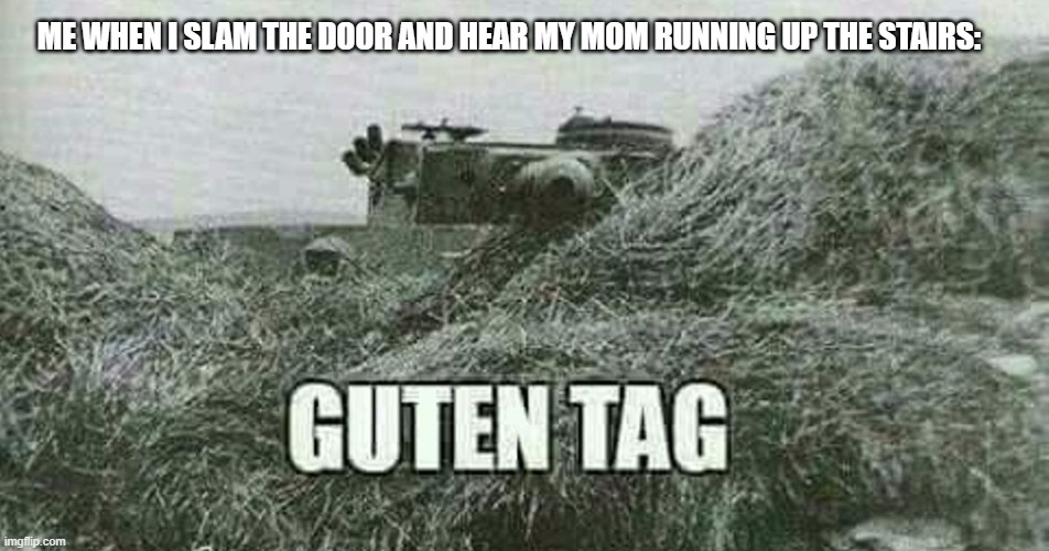 German guten tag tiger | ME WHEN I SLAM THE DOOR AND HEAR MY MOM RUNNING UP THE STAIRS: | image tagged in german guten tag tiger | made w/ Imgflip meme maker