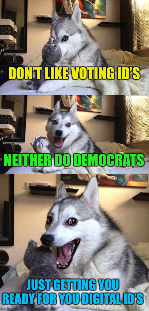 The decade of corrupt gov and corp take over | DON’T LIKE VOTING ID’S; NEITHER DO DEMOCRATS; JUST GETTING YOU READY FOR YOU DIGITAL ID’S | image tagged in memes,bad pun dog | made w/ Imgflip meme maker