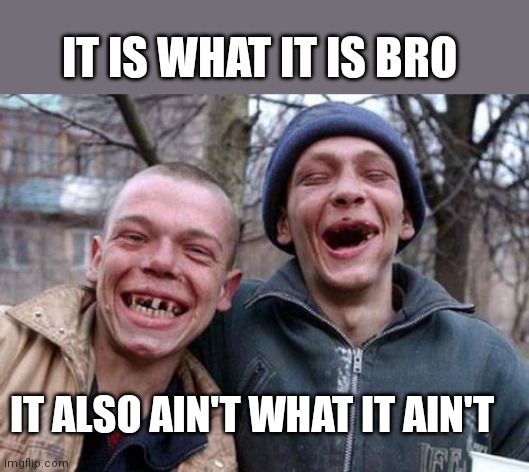 Ugly Twins | IT IS WHAT IT IS BRO; IT ALSO AIN'T WHAT IT AIN'T | image tagged in memes,ugly twins | made w/ Imgflip meme maker