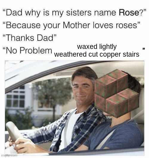 waxed lightly weathered cut copper stairs = best minecraft item | waxed lightly weathered cut copper stairs | image tagged in why is my sister's name rose | made w/ Imgflip meme maker