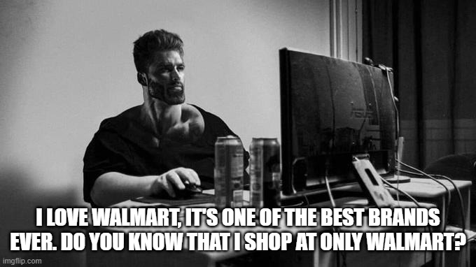 Average Walmart Enjoyer | I LOVE WALMART, IT'S ONE OF THE BEST BRANDS EVER. DO YOU KNOW THAT I SHOP AT ONLY WALMART? | image tagged in gigachad on the computer | made w/ Imgflip meme maker
