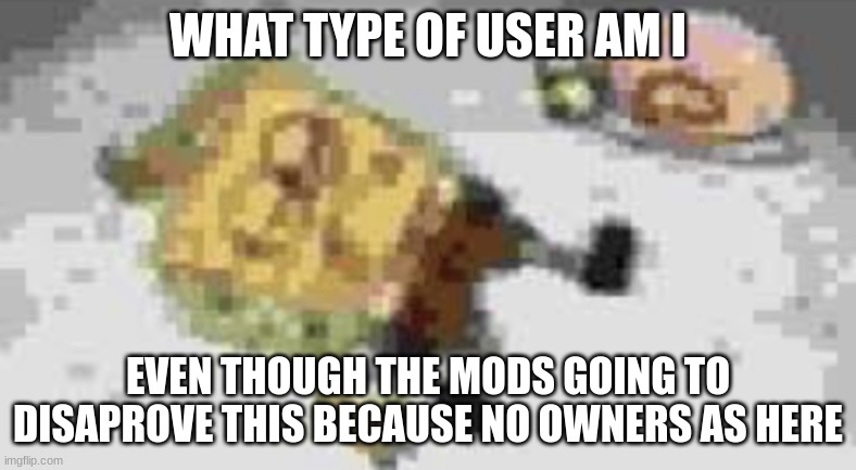 Kid named tyler | WHAT TYPE OF USER AM I; EVEN THOUGH THE MODS GOING TO DISPROVE THIS BECAUSE NO OWNERS AS HERE | image tagged in kid named tyler | made w/ Imgflip meme maker