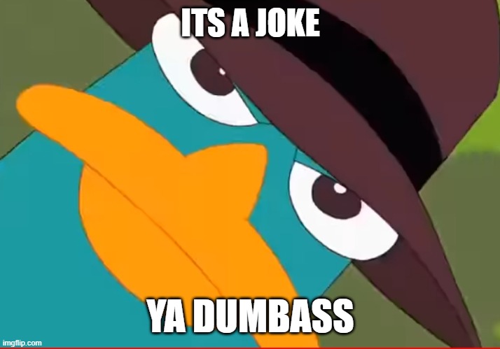 Perry looks at you | ITS A JOKE YA DUMBASS | image tagged in perry looks at you | made w/ Imgflip meme maker