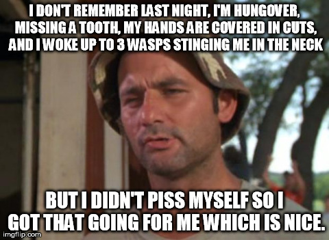 So I Got That Goin For Me Which Is Nice | I DON'T REMEMBER LAST NIGHT, I'M HUNGOVER, MISSING A TOOTH, MY HANDS ARE COVERED IN CUTS, AND I WOKE UP TO 3 WASPS STINGING ME IN THE NECK B | image tagged in memes,so i got that goin for me which is nice | made w/ Imgflip meme maker