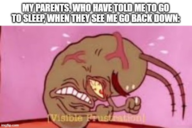 Visible Frustration | MY PARENTS, WHO HAVE TOLD ME TO GO TO SLEEP, WHEN THEY SEE ME GO BACK DOWN: | image tagged in visible frustration | made w/ Imgflip meme maker