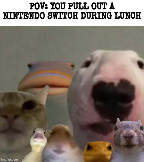 ??? Is for me? | POV: YOU PULL OUT A NINTENDO SWITCH DURING LUNCH | image tagged in lunch,nintendo switch,school,memes,stare | made w/ Imgflip meme maker