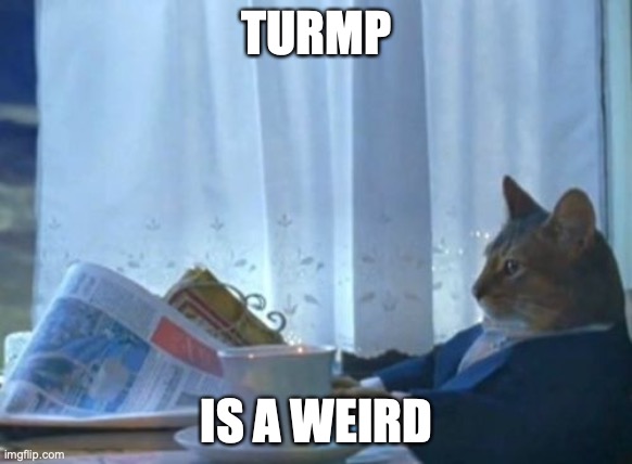 TURMP is a WEIRD | TURMP; IS A WEIRD | image tagged in memes,i should buy a boat cat,turmp,weird,ickey,ruud | made w/ Imgflip meme maker