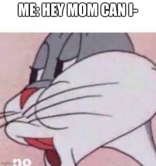 no bugs bunny | ME: HEY MOM CAN I- | image tagged in no bugs bunny | made w/ Imgflip meme maker