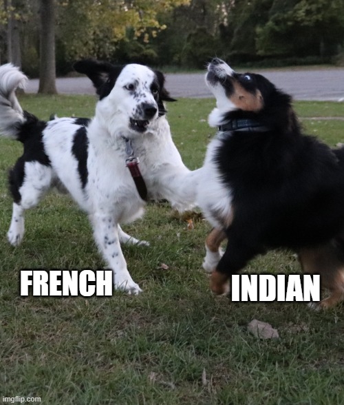 Dog fight | FRENCH; INDIAN | image tagged in dog fight | made w/ Imgflip meme maker