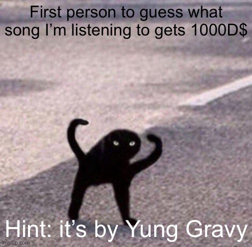 Cursed cat temp | First person to guess what song I’m listening to gets 1000D$; Hint: it’s by Yung Gravy | image tagged in cursed cat temp | made w/ Imgflip meme maker