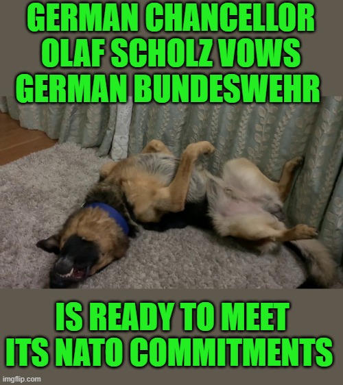 yep | GERMAN CHANCELLOR OLAF SCHOLZ VOWS GERMAN BUNDESWEHR; IS READY TO MEET ITS NATO COMMITMENTS | image tagged in nato,germany | made w/ Imgflip meme maker