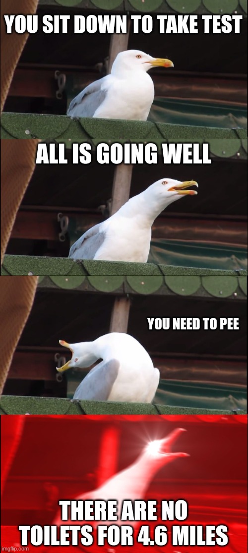 Peeing is a Problem | YOU SIT DOWN TO TAKE TEST; ALL IS GOING WELL; YOU NEED TO PEE; THERE ARE NO TOILETS FOR 4.6 MILES | image tagged in memes,inhaling seagull,peeing | made w/ Imgflip meme maker