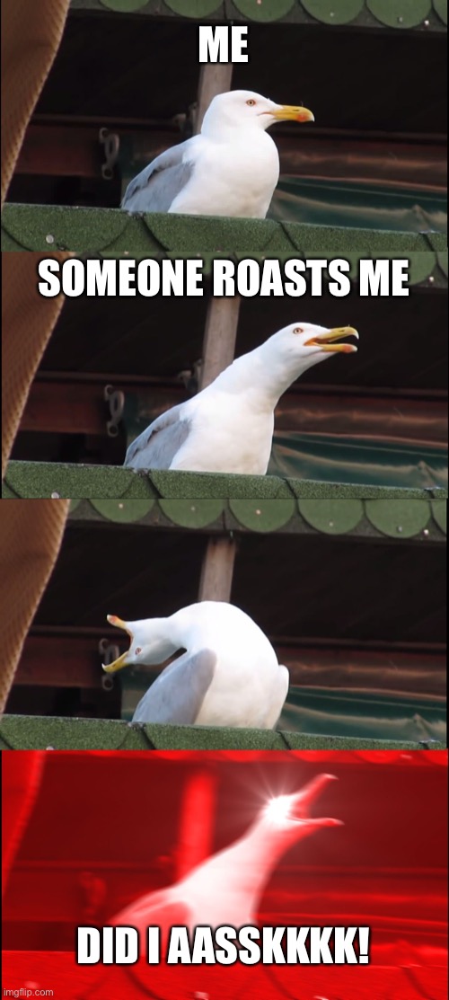 dId I AskKK! | ME; SOMEONE ROASTS ME; DID I AASSKKKK! | image tagged in memes,inhaling seagull | made w/ Imgflip meme maker