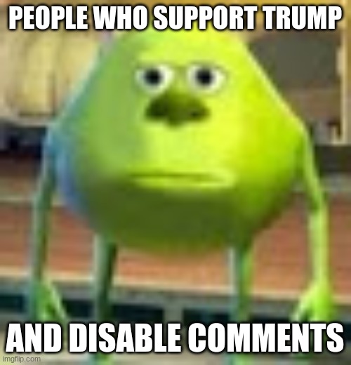 Sully Wazowski | PEOPLE WHO SUPPORT TRUMP AND DISABLE COMMENTS | image tagged in sully wazowski | made w/ Imgflip meme maker