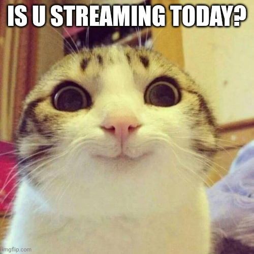 SMILING CUTE CAT | IS U STREAMING TODAY? | image tagged in smiling cute cat | made w/ Imgflip meme maker