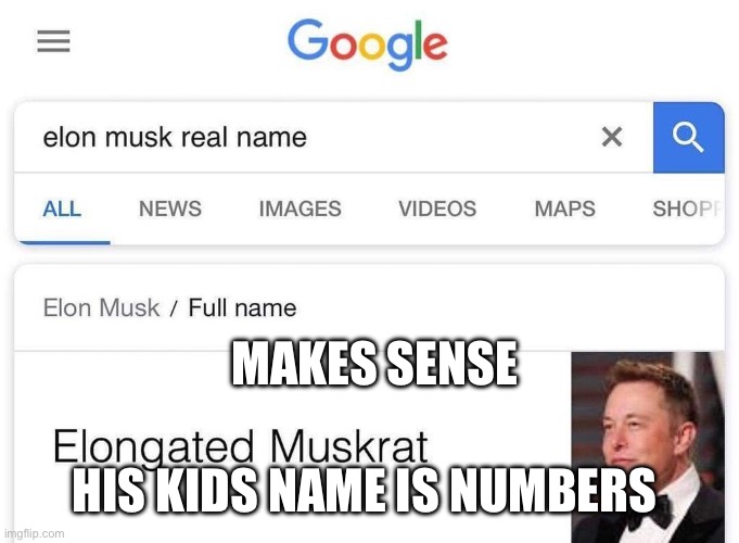 Elon musk real name | MAKES SENSE; HIS KIDS NAME IS NUMBERS | image tagged in elon musk real name | made w/ Imgflip meme maker