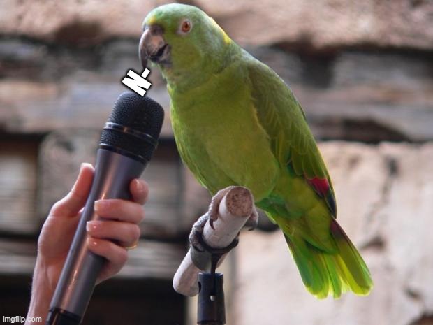 parrot | N- | image tagged in parrot | made w/ Imgflip meme maker