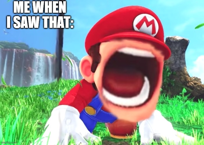 ME WHEN I SAW THAT: | image tagged in mario screaming | made w/ Imgflip meme maker